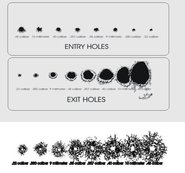 Showing the entry and exit hole sizes of various bullets.